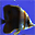 Aquatic Life 3D Screensaver Icon