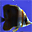 Aquatic Life 3D Screensaver 1.01.6 Aquatic Life 3D Screensaver 1.01.6 32x32 pixels icon