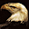 Birds of Prey Free Screensaver Icon