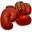 Boxer Icon