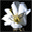 Cards Right Now 1.0 Cards Right Now 1.0 32x32 pixels icon