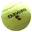 Dream Match Tennis Online Icon