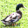 Ducks of Appalachia Screensaver 1.0 32x32 pixels icon