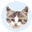 EF File Catalog 25.06 EF File Catalog 25.06 32x32 pixels icon