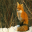 Fox Screensavers Icon