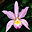 Orchids Screen Saver and Wallpaper Icon