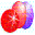 Nelements KOS 2.659 Nelements KOS 2.659 32x32 pixels icon