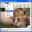 Priore ImageScan ActiveX 1.2 32x32 pixels icon