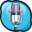 RSkype Recorder Icon