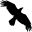 Data Crow 4.1.1 32x32 pixels icon