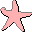 Starfish Family Mail Icon