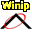 Winip Icon