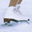 Free Winter Sports Screensaver Icon