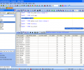 Oraspeed SQL Editor Screenshot 0