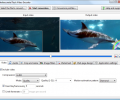 Mediaccurate Flash Video Encoder Screenshot 0