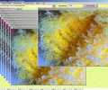 Image In Focus Screenshot 0
