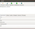 WinFF Screenshot 1