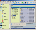 Falcove Web Vulnerability Scanner Screenshot 0