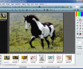 Portable PhotoFiltre Studio X Screenshot 3