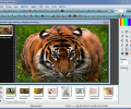 Portable PhotoFiltre Studio X Screenshot 4