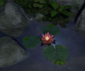 Water Lily [AD] Screenshot 0