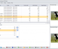 Multiple Image Resizer .NET Screenshot 2