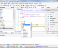 TSW WebCoder Screenshot 0