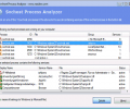 Svchost Process Analyzer Screenshot 0