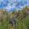 Age of Dinosaurs 3D 8.11 Age of Dinosaurs 3D 8.11 32x32 pixels icon