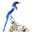 Bluejay 1.12 32x32 pixels icon