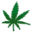 Cannabinatic Screensaver 1.50 Cannabinatic Screensaver 1.50 32x32 pixels icon