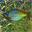 Aqua 3D Screensaver 1.51.8 Aqua 3D Screensaver 1.51.8 32x32 pixels icon