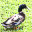Ducks of Appalachia Screensaver 1.0 Ducks of Appalachia Screensaver 1.0 32x32 pixels icon