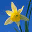 IconUtils 5.45 IconUtils 5.45 32x32 pixels icon