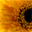 Imagination Image Map Editor 6.2.1 Imagination Image Map Editor 6.2.1 32x32 pixels icon